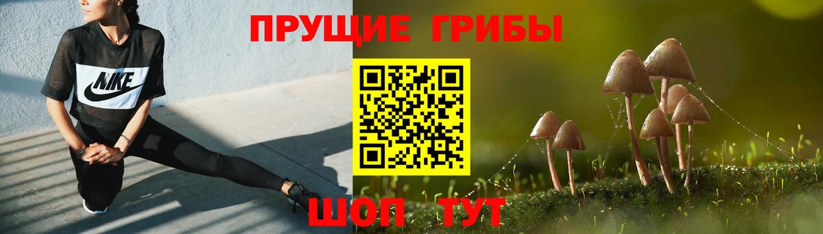 магазин продажи наркотиков  Вход с VPN  Шарыпово  Псилоцибиновые грибы Cubensis 
